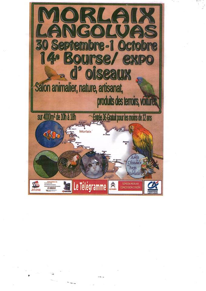14ème bourse /expo d'oiseaux