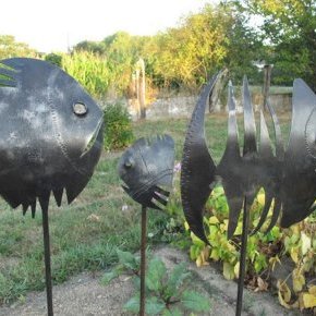 poissons de jardin