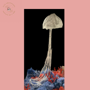 Sous l ocean de mousse