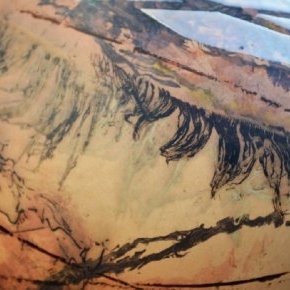 4 detail horse hair a urien ruaud
