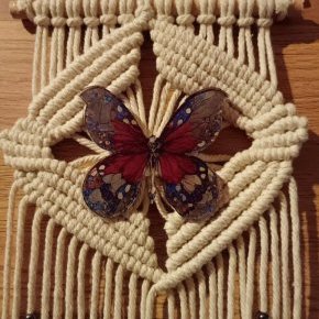 joli papillon