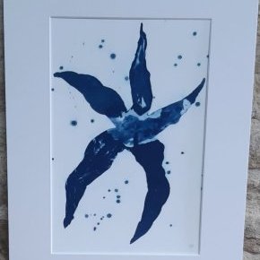 8 Cyanotype Etoile Algues