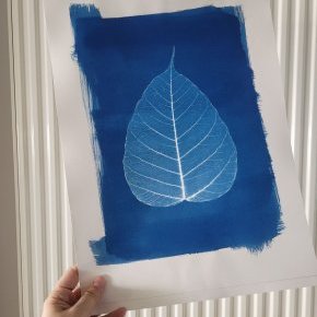 Feuille de Bouddha
