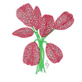 TULIPE