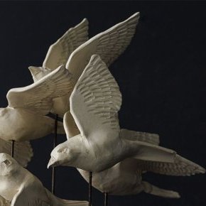 oiseaux