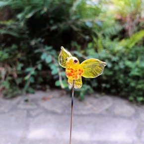 Oiseau jaune