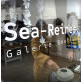 Sea-reines. galerie - boutique