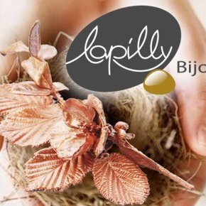 visuel lapilly nid logo