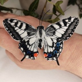 Papillon main 3