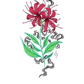 LYCORIS