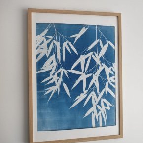 9 100 2026 bambou1 lartelierdescuriosites atelier papier cyanotype bleu (…)