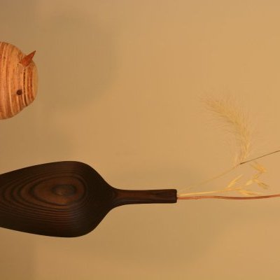 soliflore brûlé oisillon