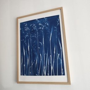 8 100 2026 brins dherbes lartelierdescuriosites atelier papier cyanotype (…)