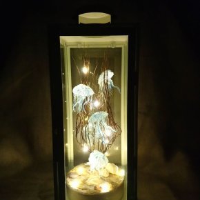 DSC 1175
