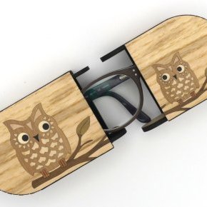 04 etui lunettes chouettes