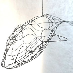 baleine
