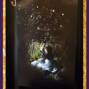 2 Poster Lucioles