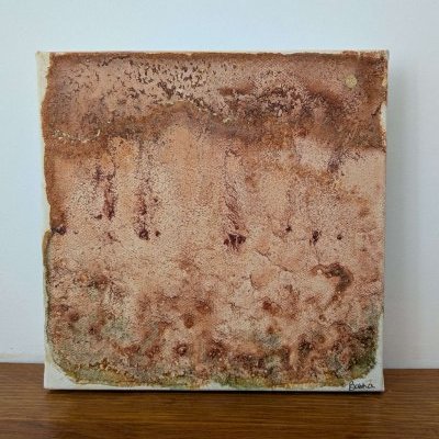 Terre de promesses : de sel et d'or 1/3