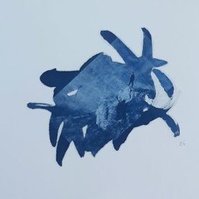 10 Cyanotype Sur le Rocher