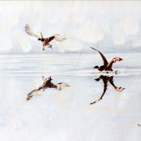 une arrivée de canards/ dessin Faber Castel