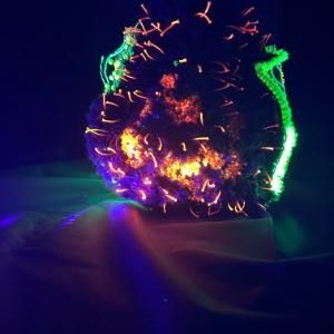 Broderie d art Rose futuriste brodée en 3D avec des matières fluorescentes (…)