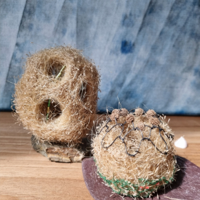 Écrin de mémoire sauvage (série)