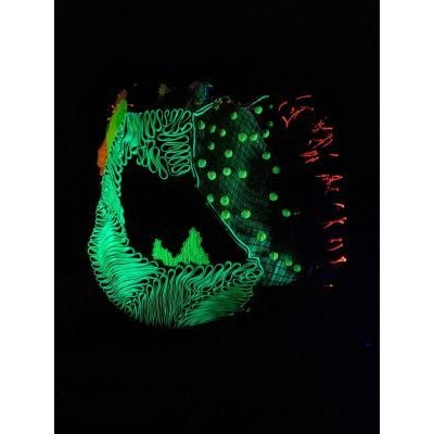 Broderie d art Rose futuriste brodée en 3D avec des matières fluorescentes à (…)