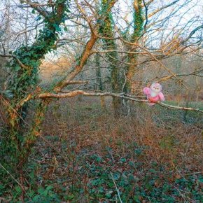 chouette rose rev3 jpg web