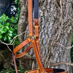 4 licol cuir fauve cheval