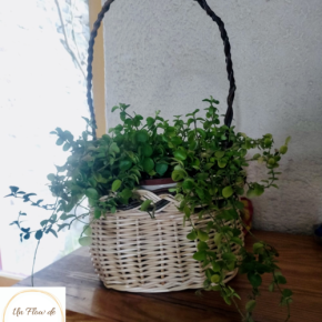 little basket