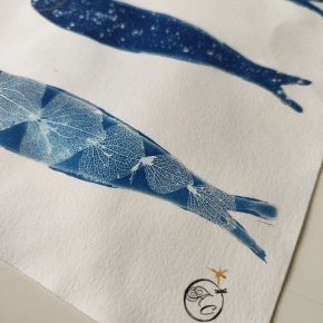 10 100 2026 sardine lartelierdescuriosites atelier papier cyanotype bleu (…)