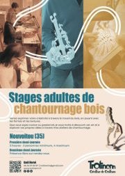 affiche web stage adulte A3 page 0001