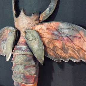 9 insecte o ruaud