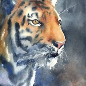 1 Oeil du Tigre Aquarelle Faustine