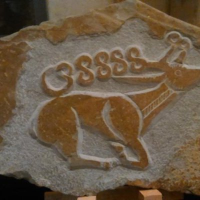 cerf scythe web