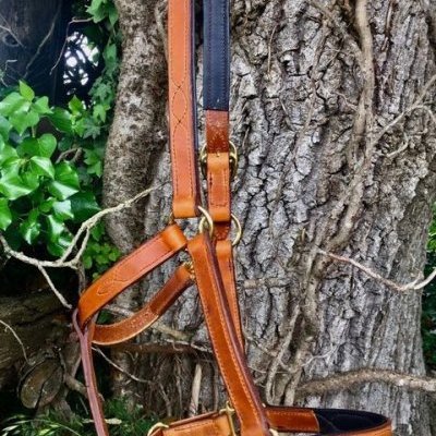 4 licol cuir fauve cheval