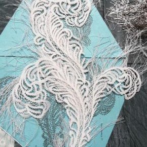 6 dentelle aux fuseaux plume dautruche terminee rc