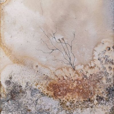 Terres de promesses : de sel et d'or 2/3