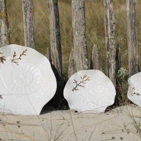 Coquillages shooting 005