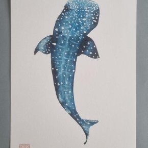 requin baleine 1 ConvertImage ConvertImage
