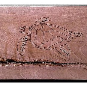 Tortue de coeur