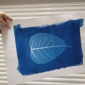 Feuille de Bouddha