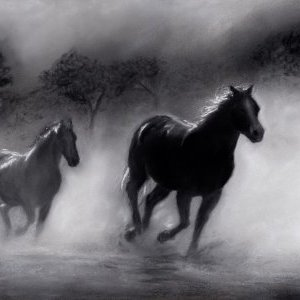 6 Galop dans la brume Pastel Faustine