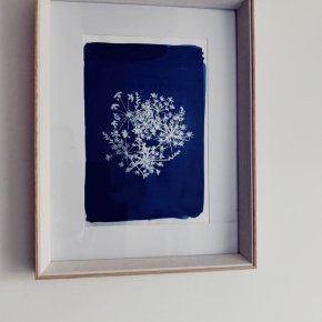 5 100 rond achille fleur lartelierdescuriosites atelier papier cyanotype (…)
