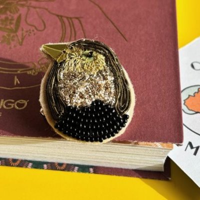 oiseauornoircrealouest