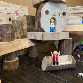 8 Tetedebois createur Jeux le bois des BlocsL