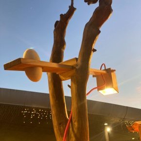 10 Tetedebois createur Luminaire RacineL