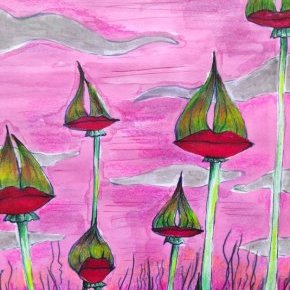 Rosebud comp