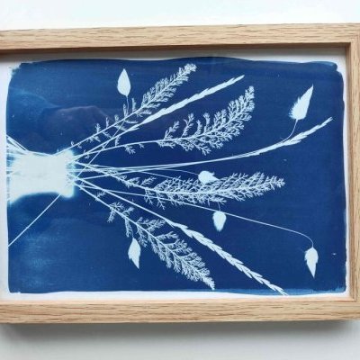 1 lartelierdescuriosites cyanotype vase bouquet 100