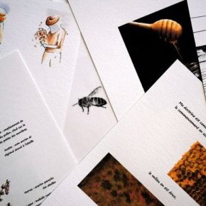 04.2019 10 27 carnet miel extraits W 2061